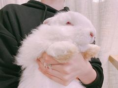 -有何Book(六堰体育馆店)