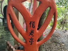 -黄山翡翠谷景区