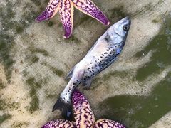 -北方饺子王·海肠捞饭·海鲜锅(山大店)