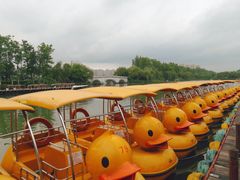 -洋湖国家湿地公园