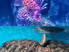 -正佳极地海洋世界