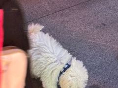 -惠丰源烩面馆(经七路店)