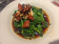 炝拌豌豆尖-匠熙小馆(崇文门店)