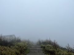 -武陵山森林公园