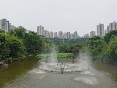 -龙头寺公园