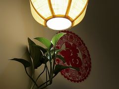-素渡·一茶一素素食馆(新疆店)