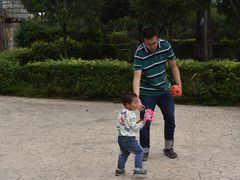 停车场-洪湖家庭农场·团建·露营·会议