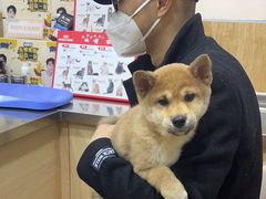 -瑞派名望24h动物医院异宠专科·猫专科·骨科·重症监护分院