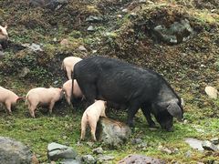 -硗碛藏寨·神木垒景区