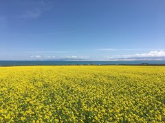 -青海湖国家重点风景名胜区