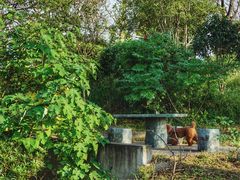 -桃园农庄·桃源宴