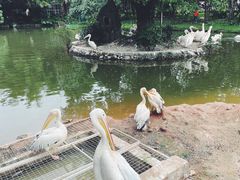 -深圳野生动物园