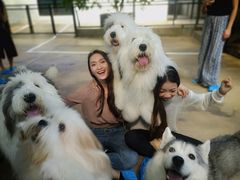 -TrueLove @ Neverland (Husky Cafe)