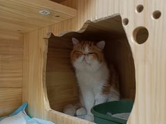 -康旭宠物医院(郑州总院)