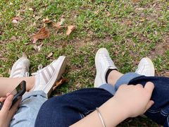 -华南国家植物园-售票处