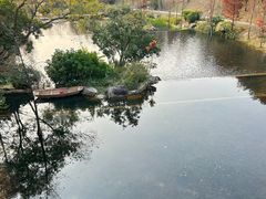 -云溪植物园