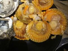 扇贝-烤圣自助美食音乐餐厅