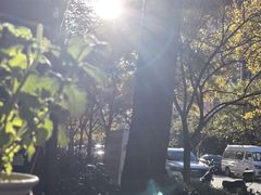 -绿茶餐厅(昆明世纪金源店)