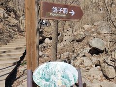 -大岭沟猕猴桃谷风景区