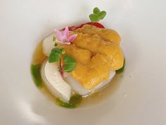 北海道扇贝海胆-蝶舍·MAISON PAPILLON