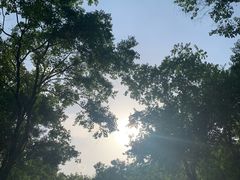 -东湖落雁景区