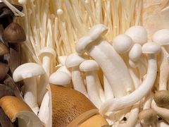 -鼎鼎香·港式火锅(北京SKP店)