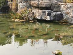 -武汉园博园(武汉自然博物馆)