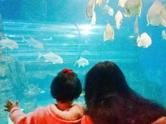海洋馆-中央广播电视塔