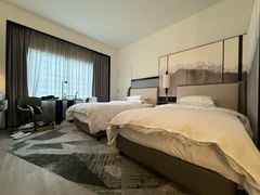 -新加坡乌节希尔顿酒店 (SG Clean)