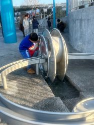 点击看大图 -季高兔窝窝亲子园(上海薰衣草公园店)