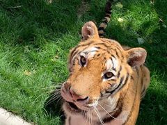 -北京野生动物园