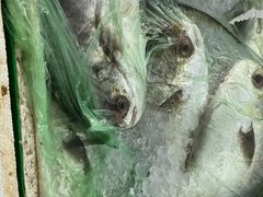 -马王堆海鲜水产市场