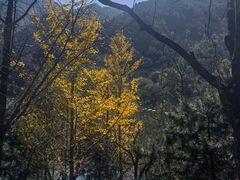-秦岭终南山世界地质公园翠华山景区