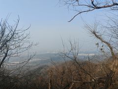 -紫金山山顶公园