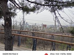 -白水寺森林公园