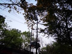 -岗上渣渣老火锅(两路口店)