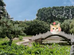 -河南省黄河迎宾馆