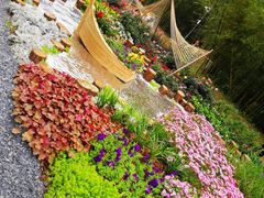 -深圳仙湖植物园