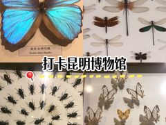 -昆明动物博物馆