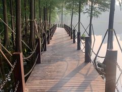-重庆彩云湖湿地公园