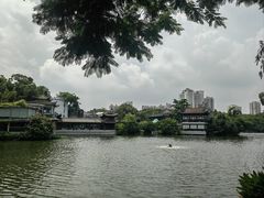 -荔湾湖公园