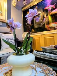 -雕哥的纹身店A3 TATTOO&纹身培训