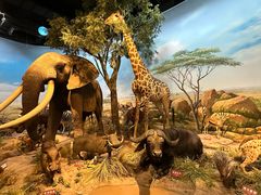 -陕西自然博物馆