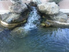 -绮丽珊瑚博物馆(台东店)