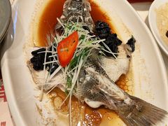 油榄角蒸鲈鱼-虾饺妹·酒家(海珠广场店)