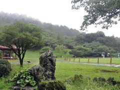 -汉拿树木园