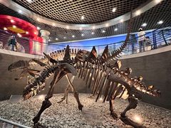 -国家自然博物馆