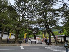 -醍醐寺