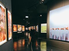 -罗红摄影艺术馆