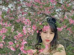 -天适樱花悠乐园